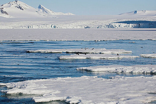 В Антарктике найдены бактерии, питающиеся воздухом
