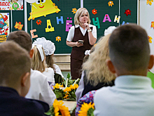 Вассерман оценил предложение наделить учителей статусом неприкосновенности