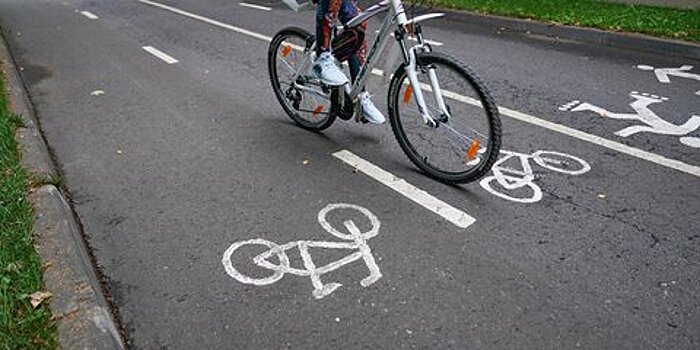 В Москве появится до 100 километров новых велополос