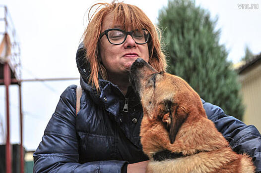 Кто спасает бездомных собак в Москве