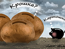 Цены на «второй хлеб» продолжают расти рекордными темпами: названы причины