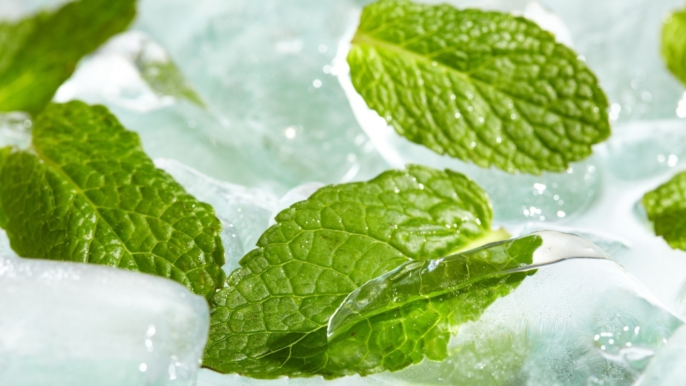 Наконец-то стало понятно, почему мята дает ощущение прохлады