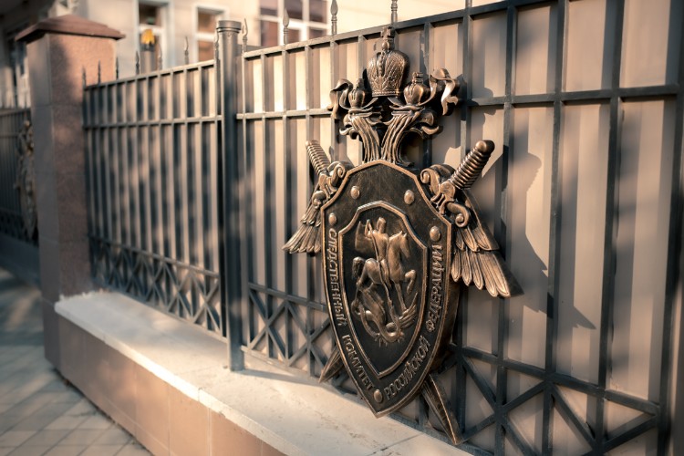 Бастрыкин потребовал доклад о погибшей от домашнего насилия жительнице Краснодара