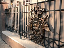Бастрыкин потребовал доклад о погибшей от домашнего насилия  жительнице Краснодара