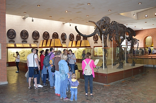 В Ясеневе отметили День палеонтологического музея