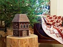 Ваш дом — лекарство: как сезонные ритмы влияют на гормоны, нервную систему и отношения в семье