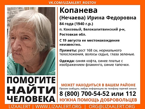 На Дону волонтеры разыскивают 84-летнюю женщину в синем платье с фламинго