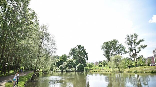 Лаборатория проверит качество воды в реке Евковка в Вологде