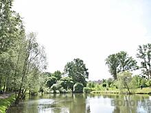 Лаборатория проверит качество воды в реке Евковка в Вологде