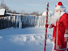 Сказка по вызову: во сколько обойдутся Дед Мороз и Снегурочка на Новый год?