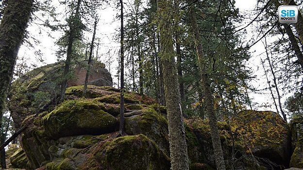 Туристы сорвались со скалы на красноярских «Столбах»