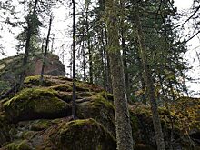 Туристы сорвались со скалы на красноярских «Столбах»