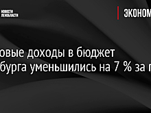Налоговые доходы в бюджет Петербурга уменьшились на 7 % за год