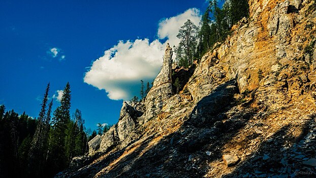 Пинежский заповедник в Архангельской области получит финансирование на создание новой инфраструктуры для научных и исследовательских работ