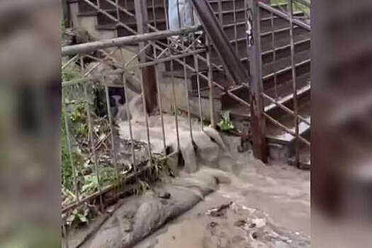 Прокуратура Петербурга начала проверку прорыва трубы на станции "Девяткино"