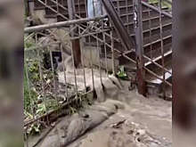 Прокуратура Петербурга начала проверку прорыва трубы на станции "Девяткино"