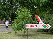 Автобус с приехавшими на экскурсию россиянами разбился в Беларуси