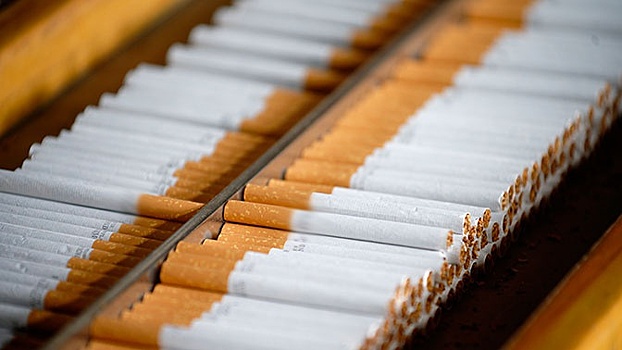 В Госдуме оценили планы повысить акцизы на сигареты в РФ