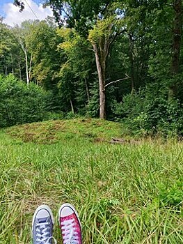 На территории нацпарка «Виштынецкий» запретят охоту на диких животных