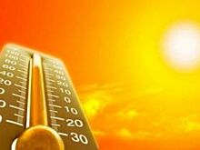 Жаркое и дождливое лето пришло в Новосибирск