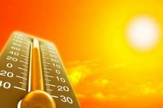 Новосибирск ждёт аномальная жара