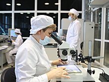 Эксперты предупредили, что Россия может "навсегда отстать" в технологиях