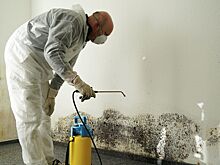 Названы самые эффективные средства от плесени на стенах