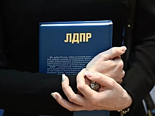 ЛДПР предложила запретить брать интервью у убийц