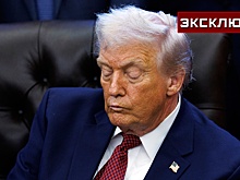 Эксперт увидел удар ЕС по Трампу в штрафе соцсети Маска