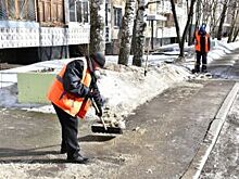 В Ярославле усилили контроль за уборкой дворов