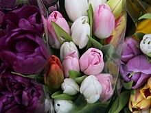 Cекрет отличной подкормки для цветов