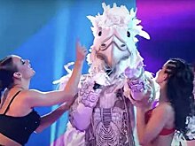 Стало известно имя Белого орла из шоу "Маска"