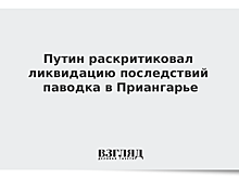 Путин устроил разнос чиновникам