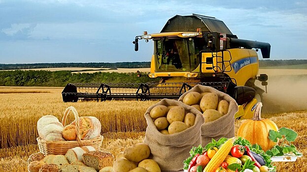 Фермерские хозяйства Свердловской области признаны лучшими в России