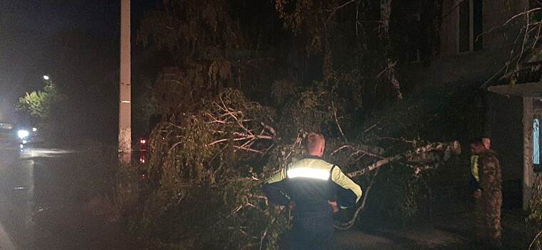 Порывистый ветер в Бузулуке повалил деревья и повредил опоры ЛЭП