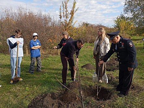 В Ростове при поддержке партпроекта &laquo;Единой России&raquo; &laquo;Чистая страна&raquo; появились 2 аллеи в честь участников СВО