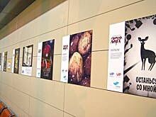 Выставку в честь Стивена Кинга организовали в аэропорте Казани