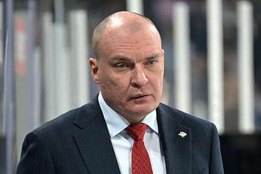 Тренер Плющев: неудачи "Металлурга" связаны с работой тренера