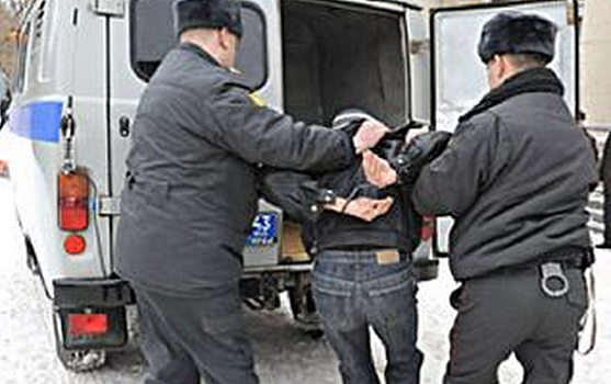 В Дмитриеве осуждён мужчина, оскорблявший полицейских и избивавший бабушек