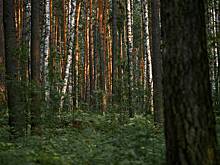 Ранее не встречавшихся вредителей обнаружили в России