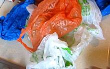Эксперт рассказала, когда Россия сможет отказаться от пластиковых пакетов