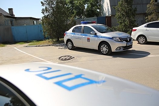 В Николаевском районе в аварии погиб сбивший овцу водитель