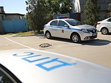 В Николаевском районе в аварии погиб сбивший овцу водитель