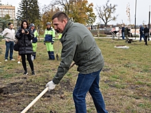 Участники субботника высадили деревья и кустарники в центре Пензы