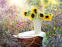 Недомашние выходные. Куда сходить омичам 25 и 26 августа