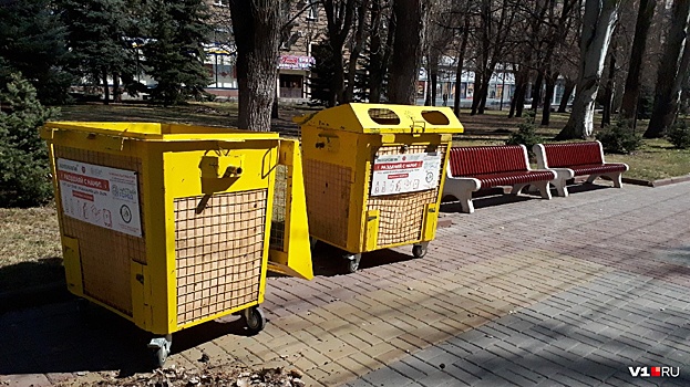 В Волгограде мусорный бак с собственным инстаграмом переселят на новое место
