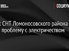 В трех СНТ Ломоносовского района решат проблему с электричеством