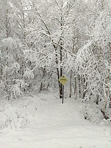 Челябинская область – во власти снежного циклона