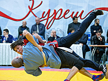 Габбасов предложил включить национальные единоборства в школьную программу