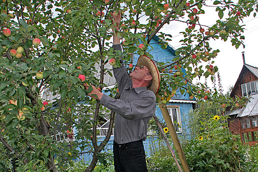 Власти Южного Урала увеличили господдержку садоводов